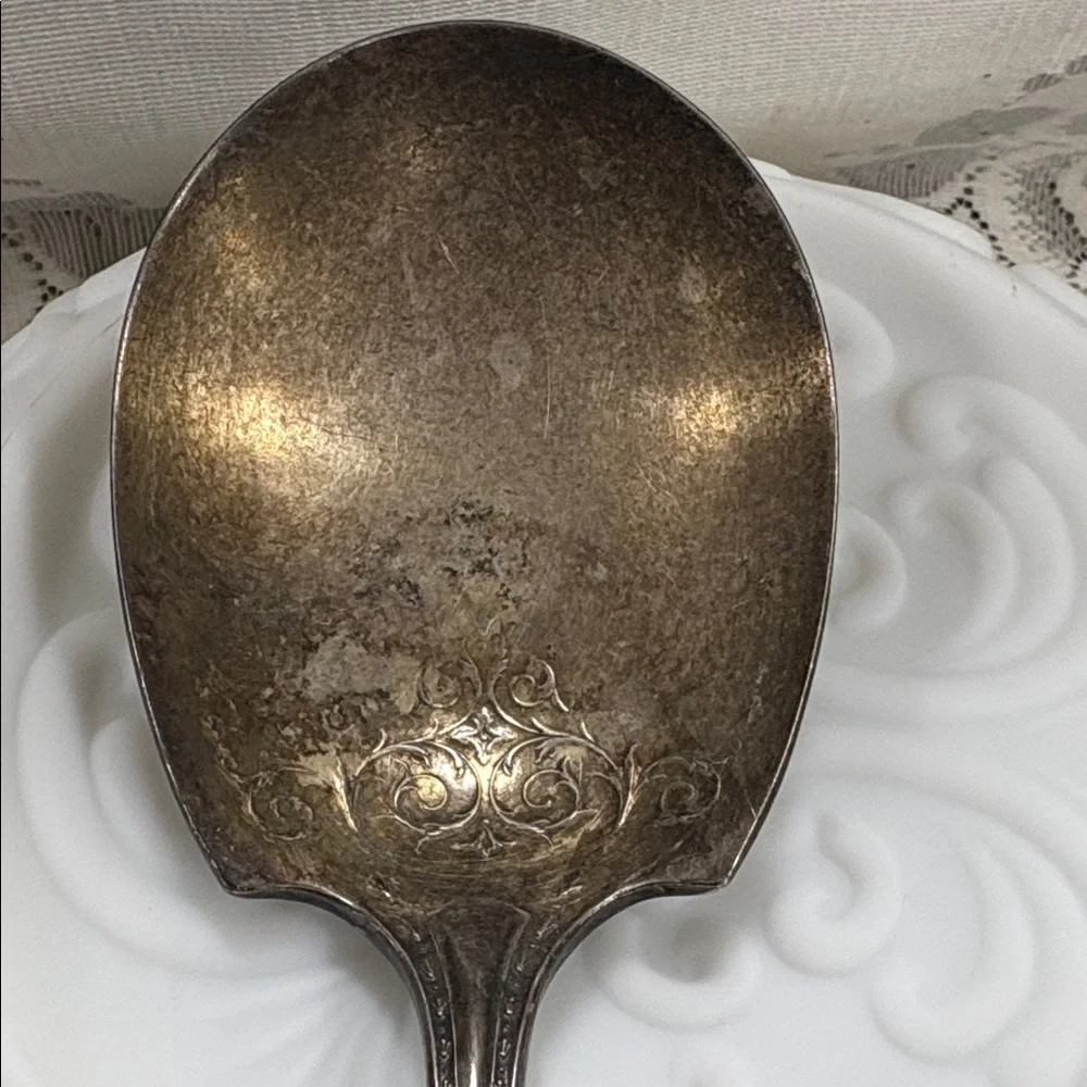 Elegant Silver Plate gravy Spoon Community Silver Co.